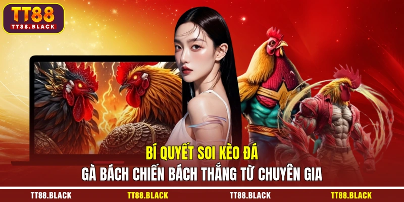 Bí quyết soi kèo đá gà bách chiến bách thắng từ chuyên gia