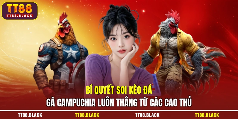 Bí quyết soi kèo đá gà Campuchia luôn thắng từ các cao thủ