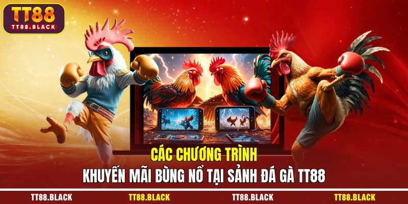 Các chương trình khuyến mãi bùng nổ tại sảnh đá gà TT88