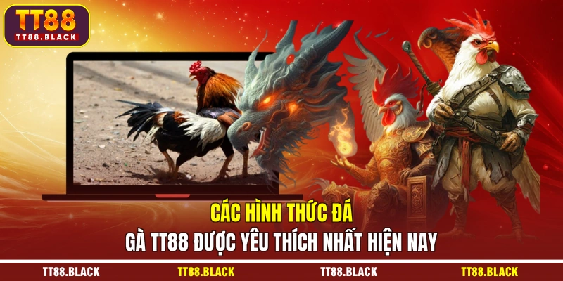Các hình thức đá gà TT88 được yêu thích nhất hiện nay