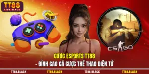 Cược Esports