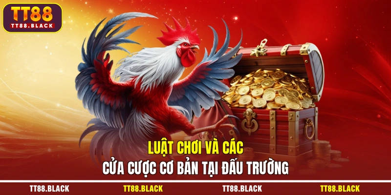 Luật chơi và các cửa cược cơ bản tại đấu trường