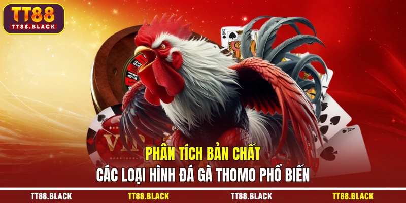 Phân tích bản chất các loại hình đá gà Thomo phổ biến